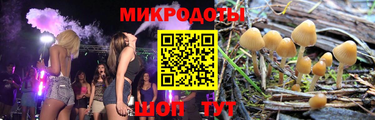 Псилоцибиновые грибы ЛСД  Вход с VPN  Грозный 